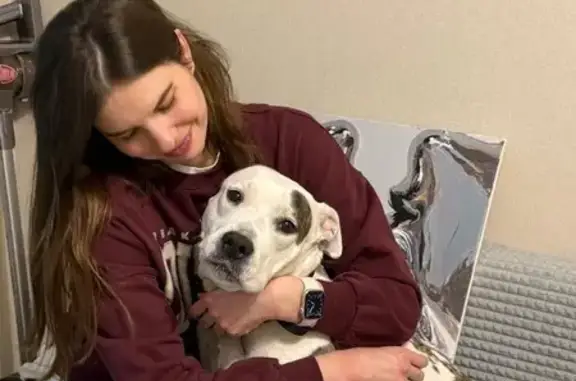 Пропала собака, Отрадная 1, Екатеринбург