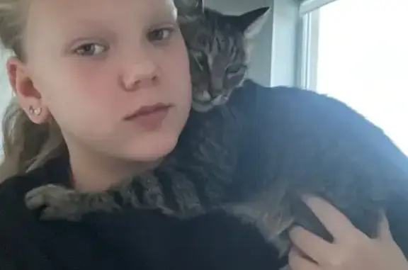 Пропала кошка, пр. Ленина, 35, Курумоч