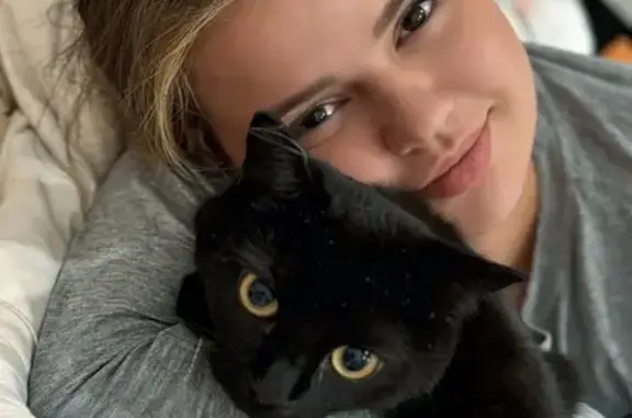 Пропала черная кошка, Рогожский Вал 15