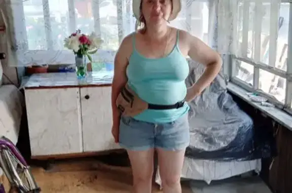 Пропала кошка, Ростовская ул. 22, Нск