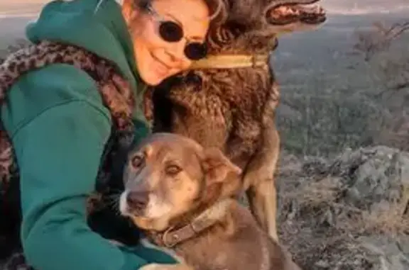 Пропала собака, Озёрск — Кыштым