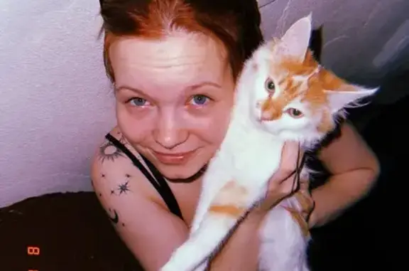 Пропала кошка, ул. Володарского 33, Серпухов