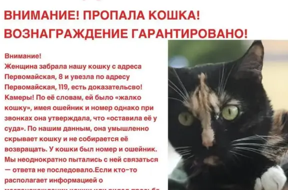 Пропала кошка, Первомайская 119, Москва