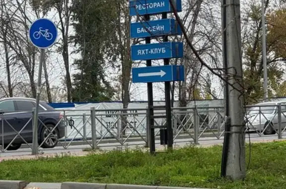 Собака найдена: Левобережная 29, Ростов