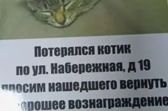 Пропала кошка, Набережная 19, Красноуфимск
