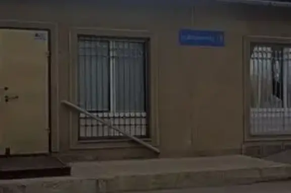 Найдена кошка, Волгоград, фото: Кошка найдена: ул. Коммунаров, 16, Волгоград