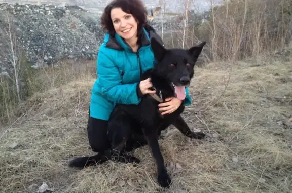 Собаки потеряшки, Свердловская область, фото: Потеряшка собака, Асбест, Свердловская обл.