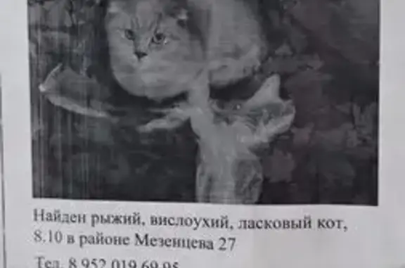 Кошка найдена: ул. Мезенцева, 27/2, Тула