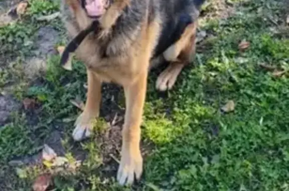 Пропала собака, Чишмы, Башкортостан