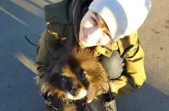 Пропала собака, Сортавала, Сосновское СП