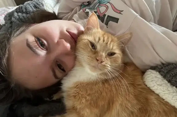 Пропала кошка, ул. Карла Маркса, Белые Берега