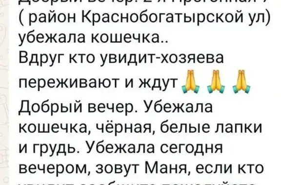 Пропала кошка: 2-я Прогонная, Москва