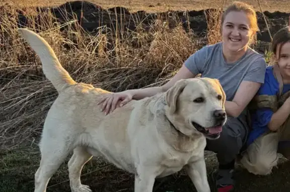 Пропала собака, Бельмесёво, Алтайский край