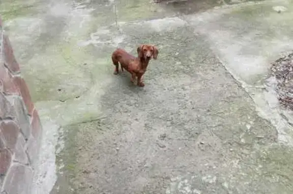 Такса найдена: Фрунзенское с/п, Волгоградская обл.