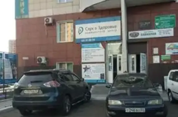 Объявления о пропавших и найденных животных, Улан-Удэ, фото: Кошка найдена на Ключевской 70А, Улан-Удэ