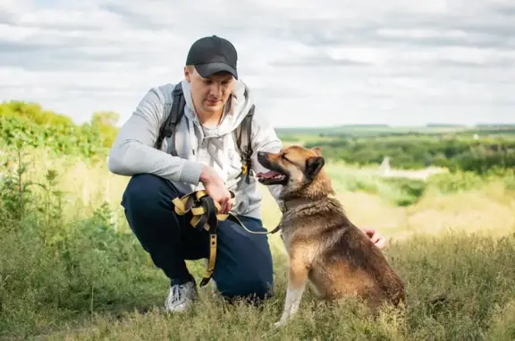 Пропала собака: Курск, ул. Любажская, 19