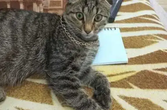 Пропала собака, Благовещенск, Башкортостан