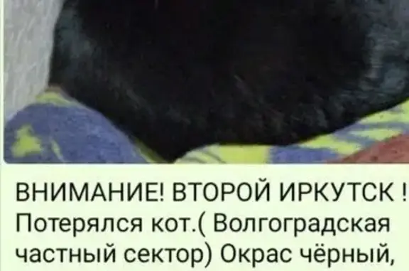 Пропала черная кошка, Волгоградская 25