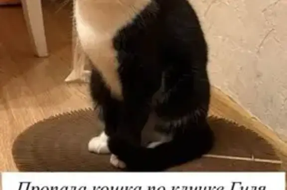 Пропала кошка, Волоколамский пр., 11 к2