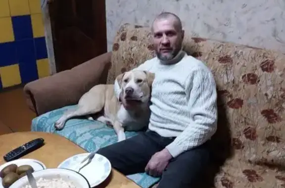 Пропала собака в Макарьеве, Ко...