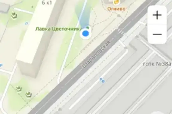 Найдена кошка, Мытищи, фото: Кошка найдена около театра Огниво, Мытищи