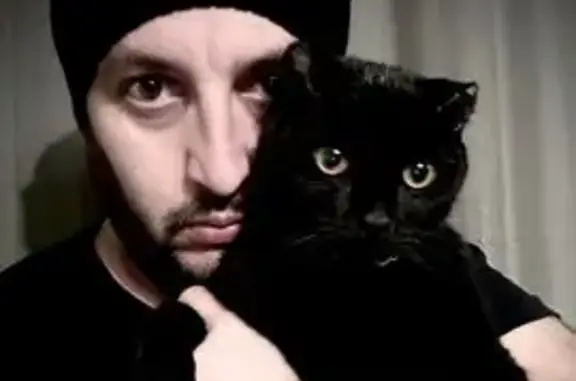 Пропала кошка, Открытое шоссе 1к2