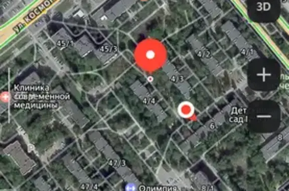 Найдена кошка, Липецк, фото: Кошка найдена на Филипченко, 4/4, Липецк