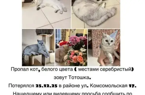 Пропала кошка, Комсомольская 32