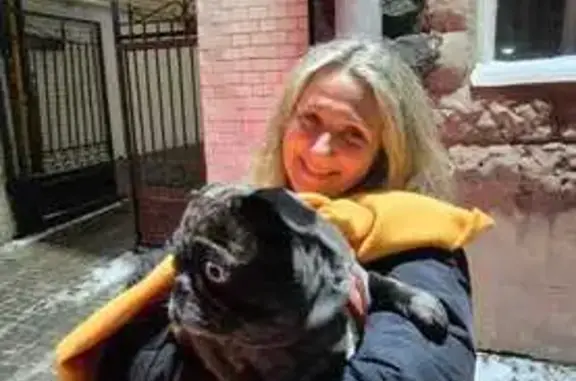 Пропала собака, Санкт-Петербург - photo