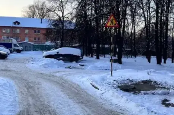 Найдена кошка, Чебоксары, фото: Кошка на люке, ул. Чапаева, 16, Чебоксары