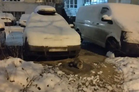 Найденные животные Тверь, фото: Котёнок найден у пр. Корыткова, Тверь