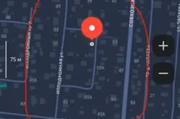 Пропала кошка, Совхозный проезд, 61А - photo