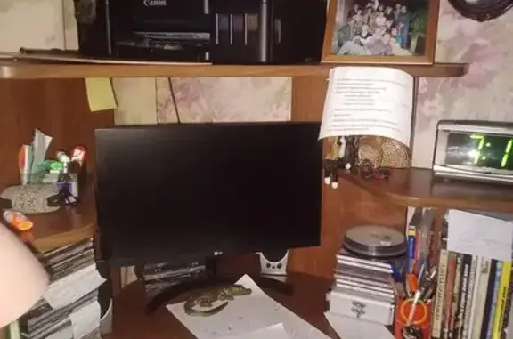 Пропала кошка, ул. Слепнёва, Москва - photo