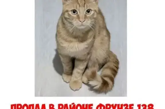 Пропала кошка, ул. Фрунзе, 17, Невинномысск - photo