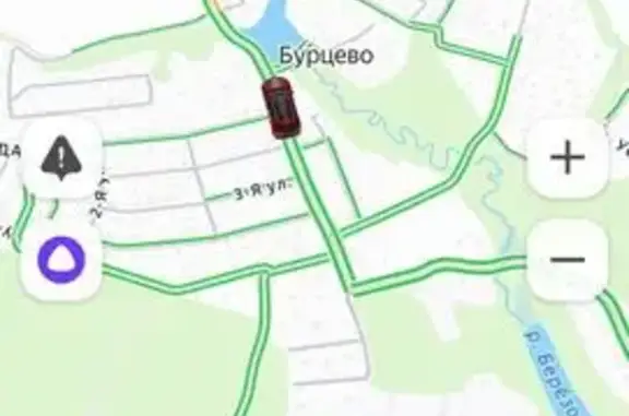 Найдена собака, Бурцево, фото: Собака у магазина Фасоль, Бурцево, 15А