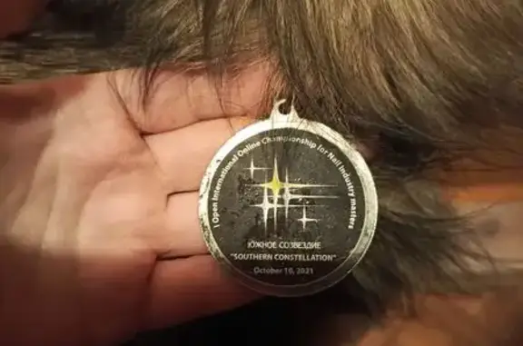 Найдена собака, Ростов-на-Дону, фото: Собака найдена: ул. Малиновского, 68