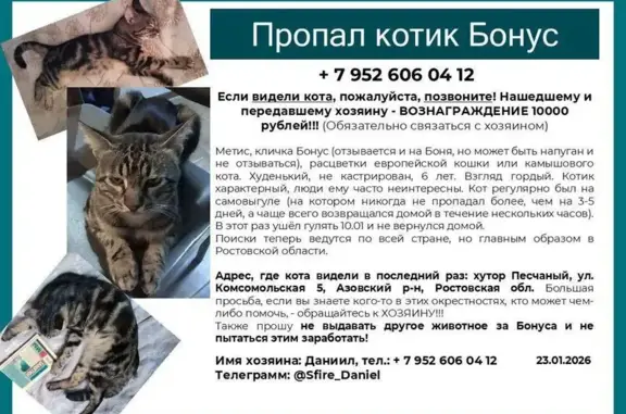 Пропала кошка, Халтуринский пер., 6/10 - photo