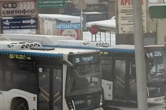 Найденные животные Уфа, фото: Найдена собака, улица имени Фронтовых Бригад, 3, Уфа - крупная, красный ошейник