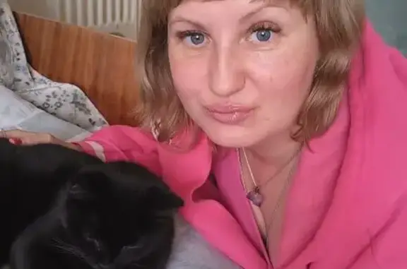 Пропала кошка, Авангардский переулок, 9, Юрьев-Польский - ласковая и разговорчивая - photo