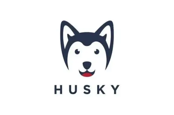 Найдена собака, Тула, фото: Найдена собака, улица Вознесенского, Тула - белая хаски с черным ошейником