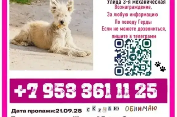 Пропала собака, 3-я Механическая улица, Новосибирск - photo