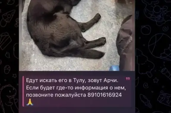 Пропал собака, площадь Московского вокзала, Тула - photo