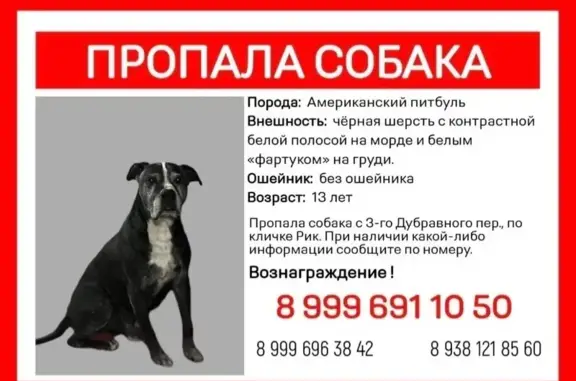 Пропал Собака, Берберовская улица, Ростов-на-Дону - photo