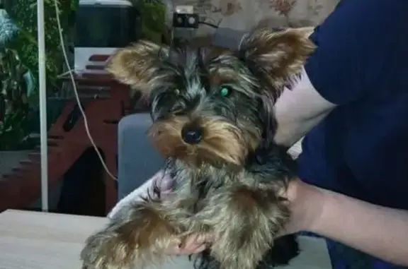 бежала за женщиной в районе универсама Сезон.