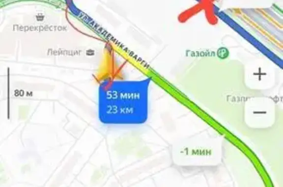 Найдена собака, Москва, фото: Найдена собака, улица Академика Варги, Москва - черная, напугана