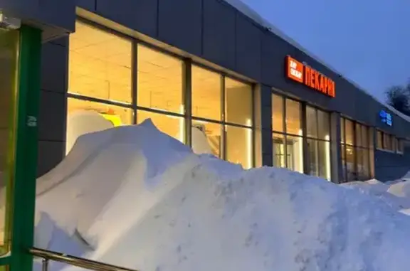 Найдена собака, Казань, фото: Найден собака, улица Профессора Камая, Казань - хаски с оборванным поводком