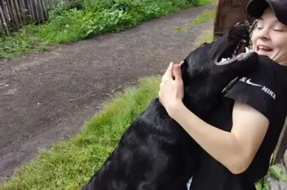 Объявления о пропавших и найденных животных, Барабинск, фото: Пропала собака, улица Ленина, 133, Барабинск