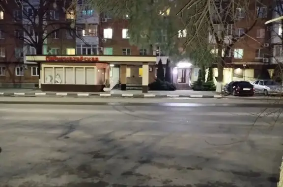 Объявления о пропавших и найденных животных, Армавир, фото: Найден собака, мужской, улица Советской Армии, 26, Армавир - рычит и скалится