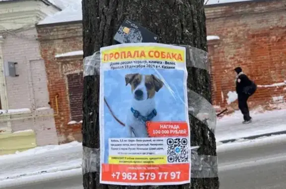 Найден собака, улица Профессора Нужина, 2, Казань - photo