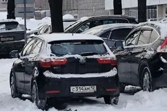 Найдена собака, Йошкар-Ола, фото: Найдена собака, улица Суворова, Йошкар-Ола - когти пострижены недавно